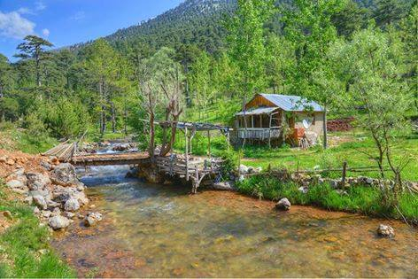 10435907_626214874136566_1596355766685515516_n