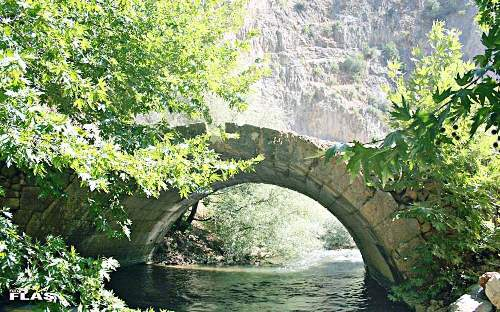 264_b421fbfb-7758-412b-a441-fb3bf516b352