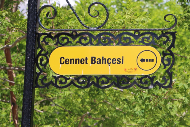 Çamdağı 12