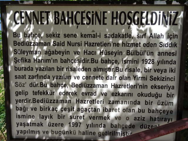 Çamdağı 13