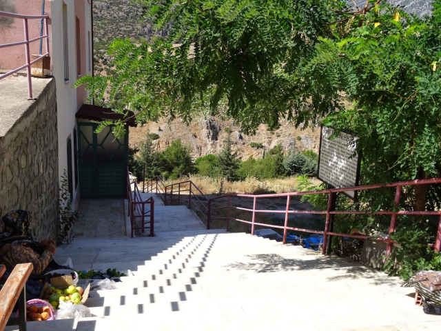 Çamdağı 14