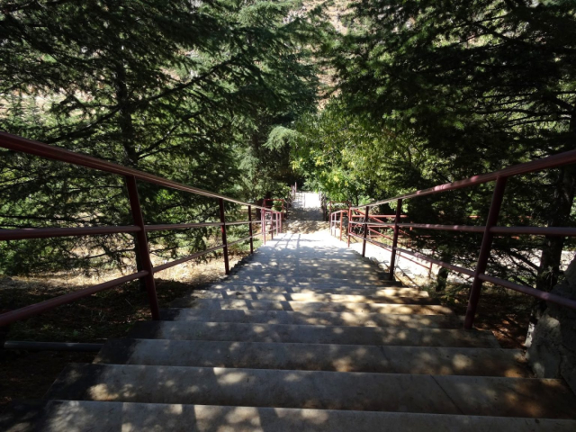 Çamdağı 15