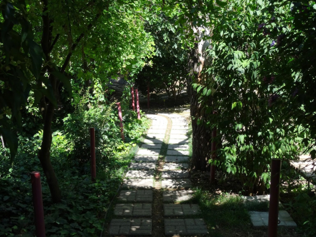 Çamdağı 16