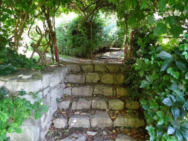 Çamdağı 17