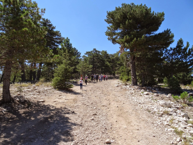 Çamdağı 3