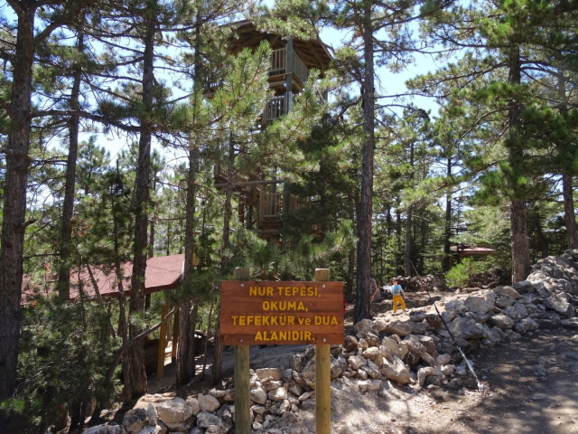 Çamdağı 5