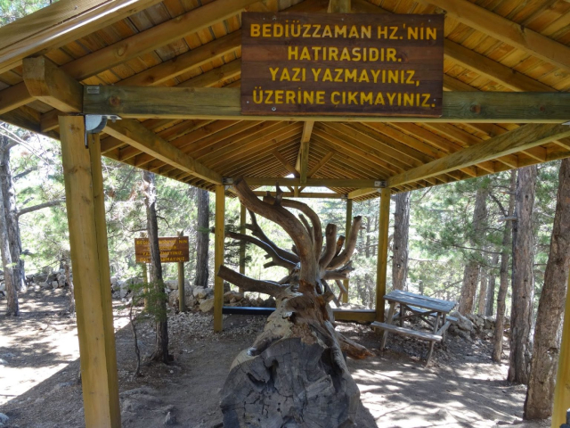 Çamdağı 6