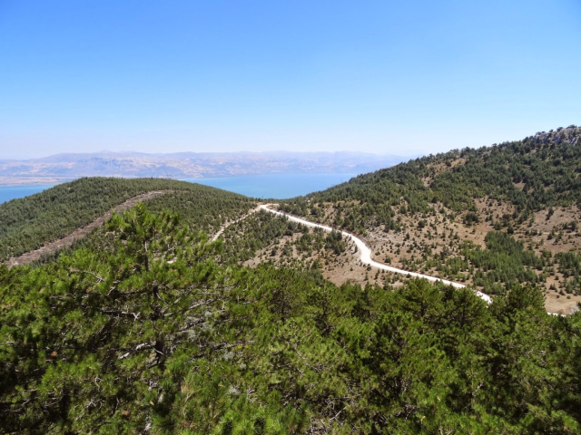 Çamdağı 8
