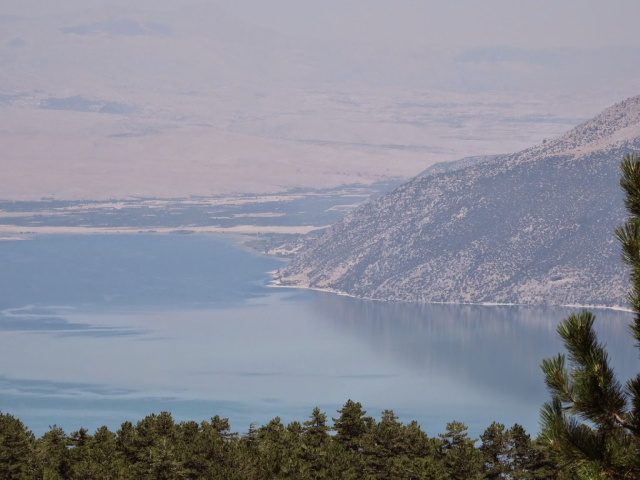Çamdağı 9
