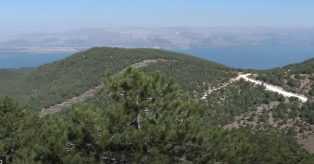 Gelincik dağı 2