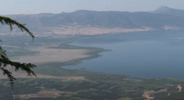 Gelincik dağı 5