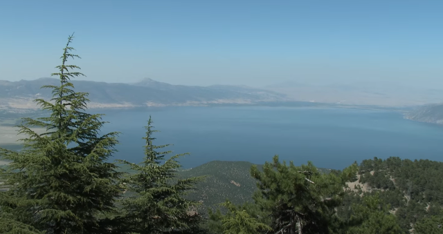 Gelincik dağı