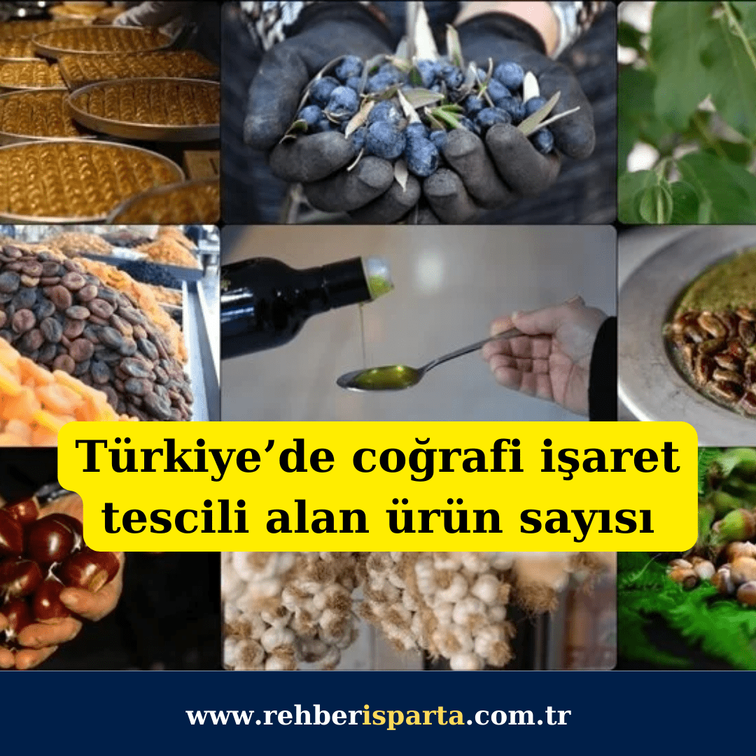 cografi işaret