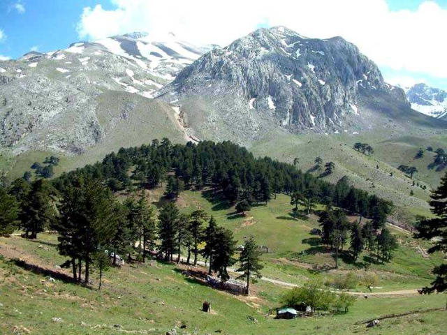 melikler_yaylasi_yenisarbademli